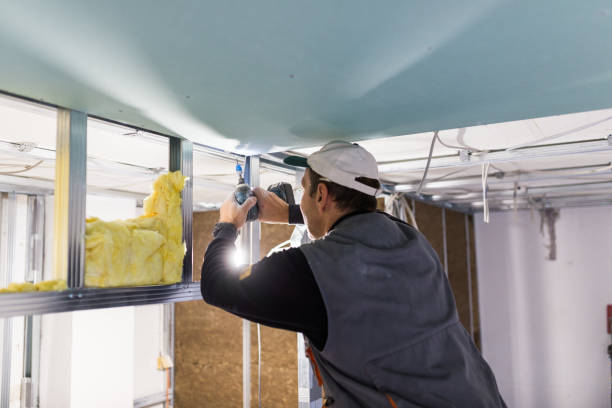 Types of Insulation We Offer in Clermont, FL