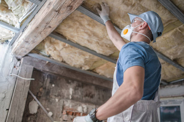 Best Spray Foam Insulation in Clermont, FL